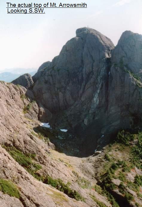 The top of Mt. Arrowsmith